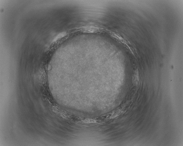 X0000081601446200702051317