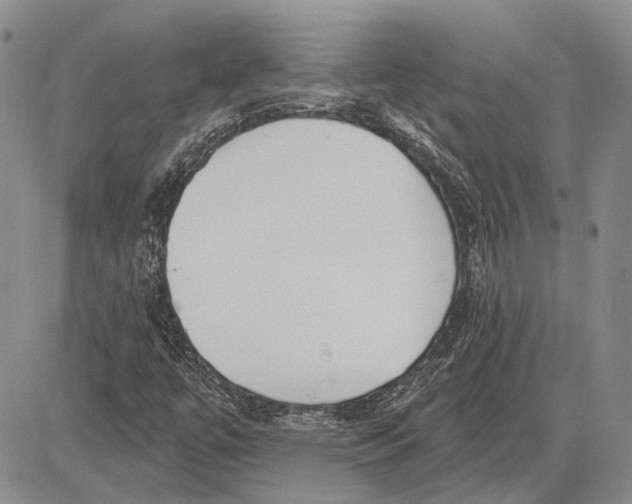 X0000081601447200702051317