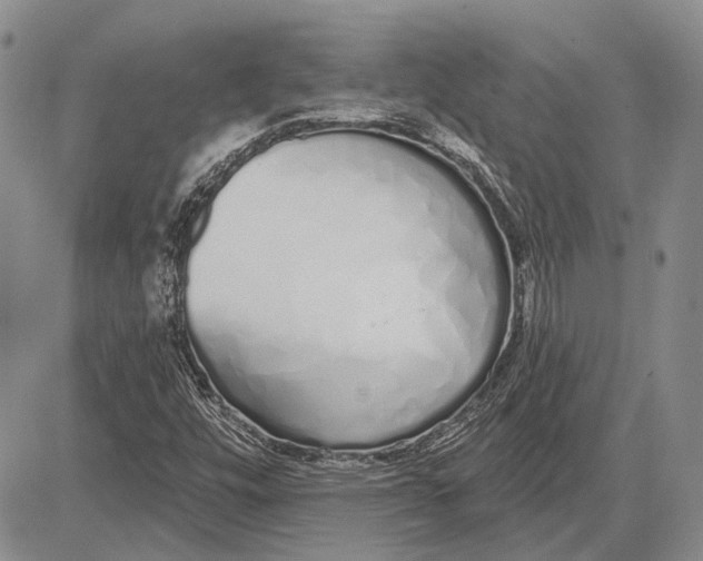 X0000081601448200702051317