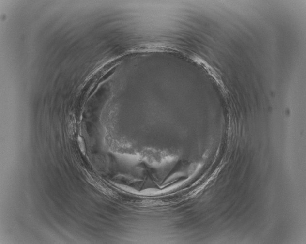 X0000081601449200702051317