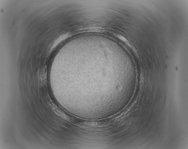 X0000081601450200702051317