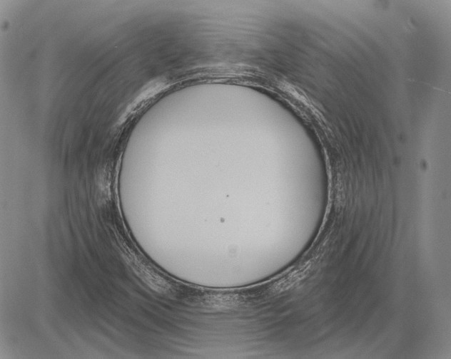 X0000081601451200702051317