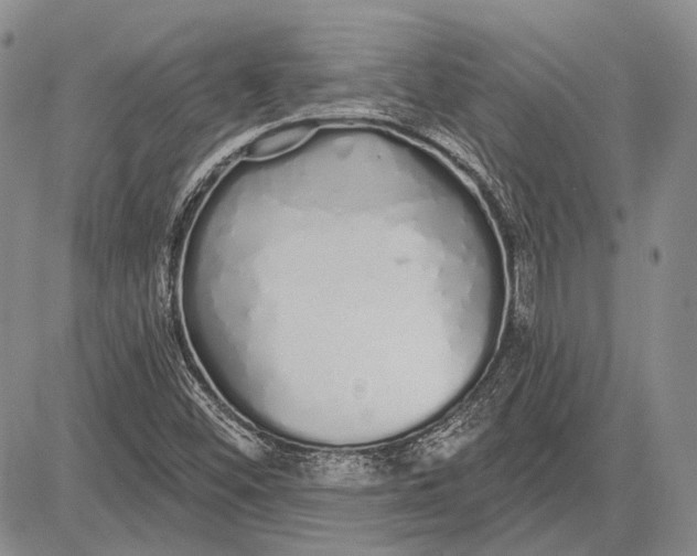 X0000081601452200702051317