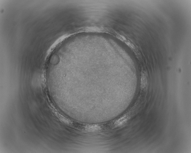 X0000081601454200702051317