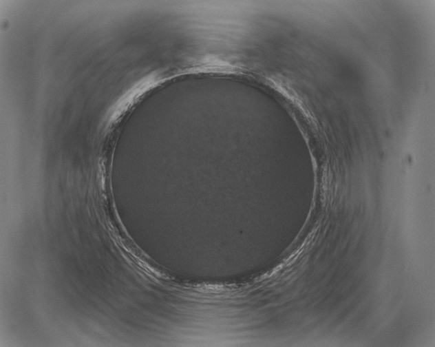 X0000081601455200702051317