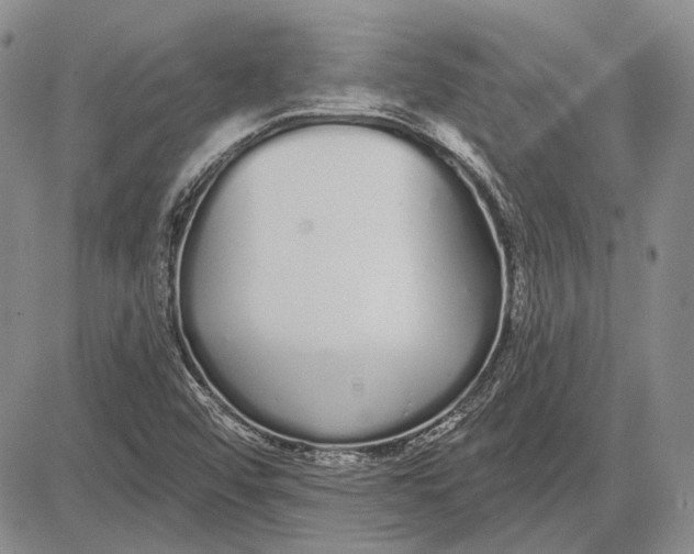 X0000081601456200702051317