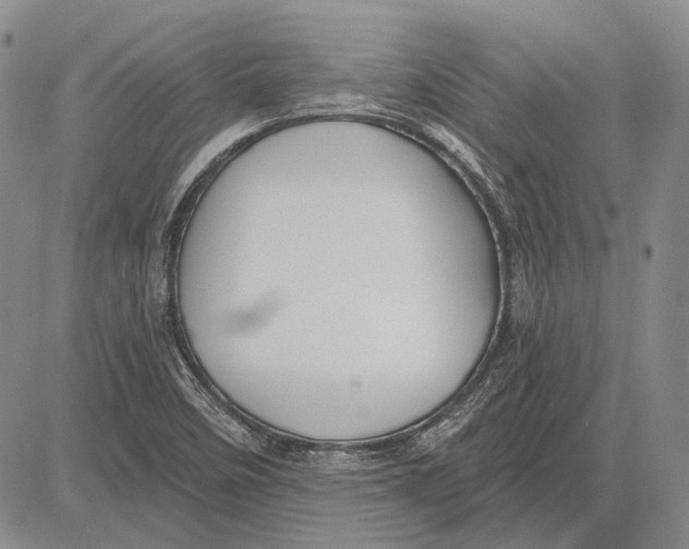 X0000081601458200702051317