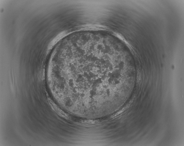 X0000081601459200702051317