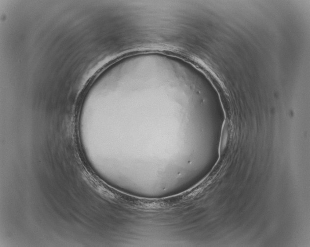 X0000081601460200702051317