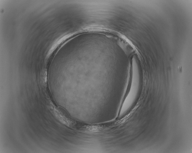 X0000081601461200702051317