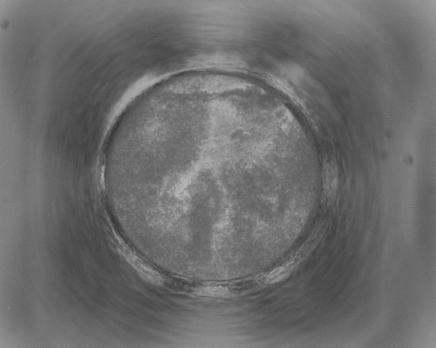 X0000081601462200702051317