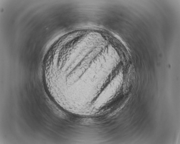 X0000081601463200702051317