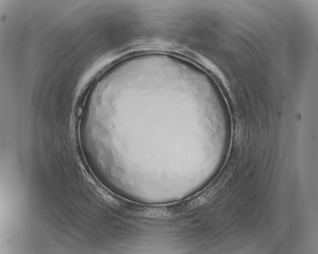 X0000081601464200702051317