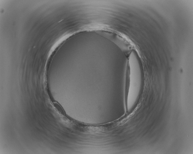 X0000081601469200702051317