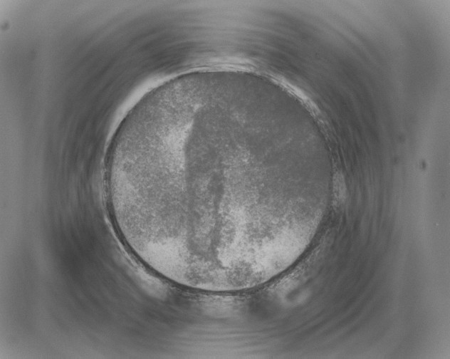 X0000081601470200702051317