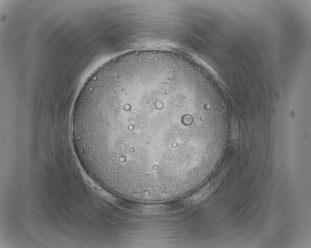 X0000081601471200702051317