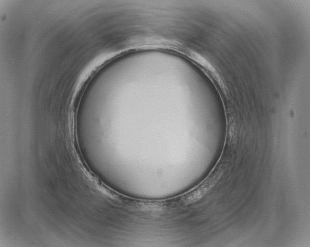 X0000081601472200702051317