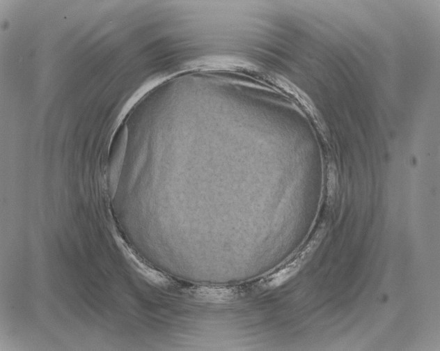 X0000081601473200702051317