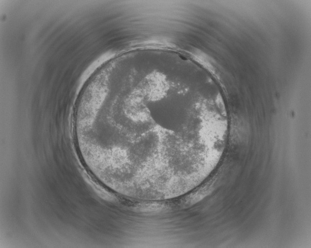 X0000081601474200702051317