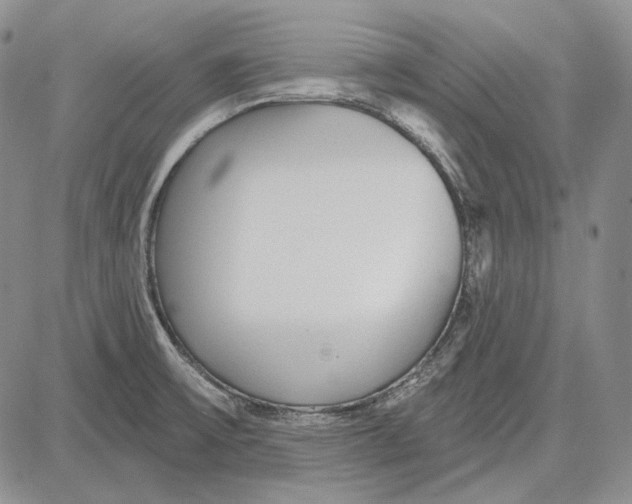 X0000081601475200702051317