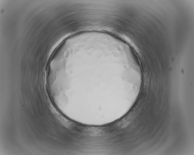 X0000081601476200702051317