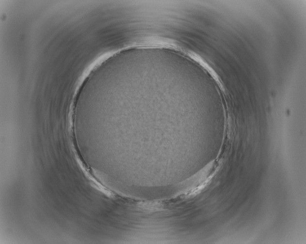 X0000081601477200702051317