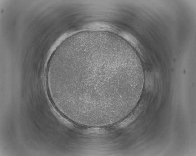 X0000081601478200702051317