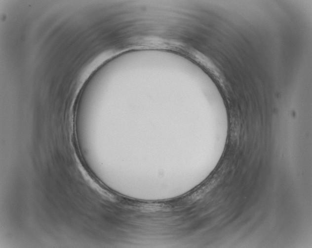 X0000081601479200702051317