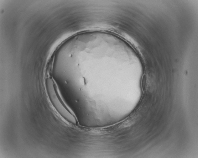 X0000081601480200702051317