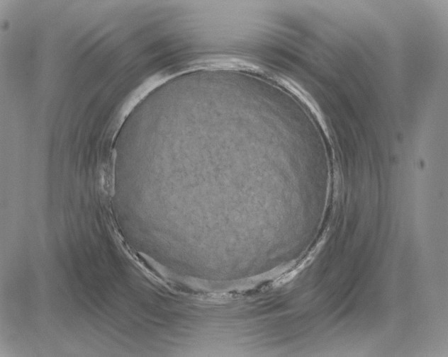 X0000081601481200702051317