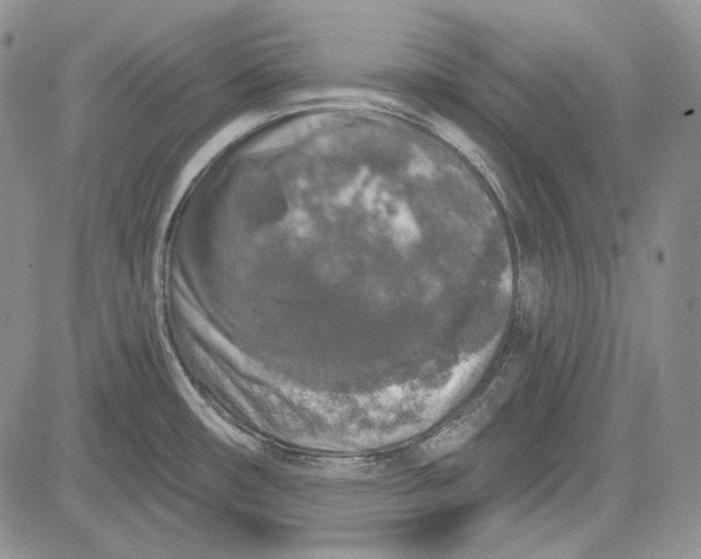 X0000081601482200702051317