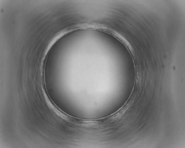 X0000081601483200702051317