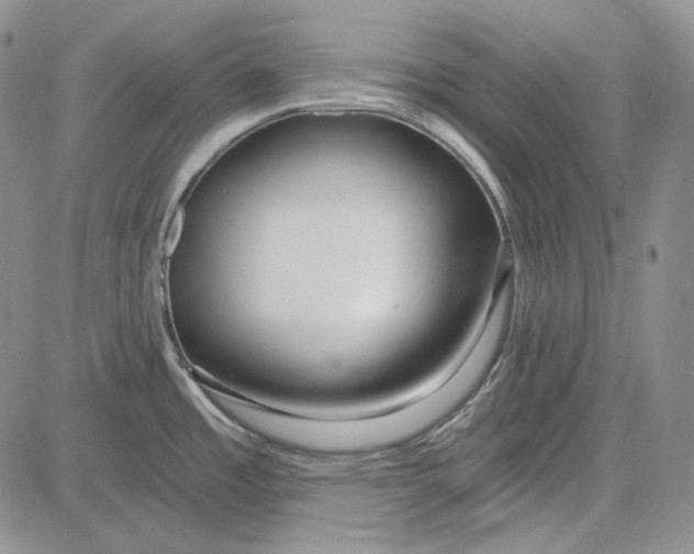 X0000081601485200702051317