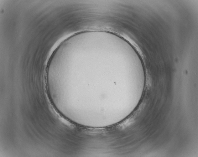 X0000081601486200702051317