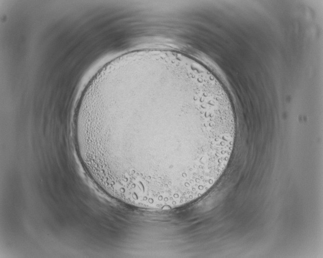 X0000081601488200702051317