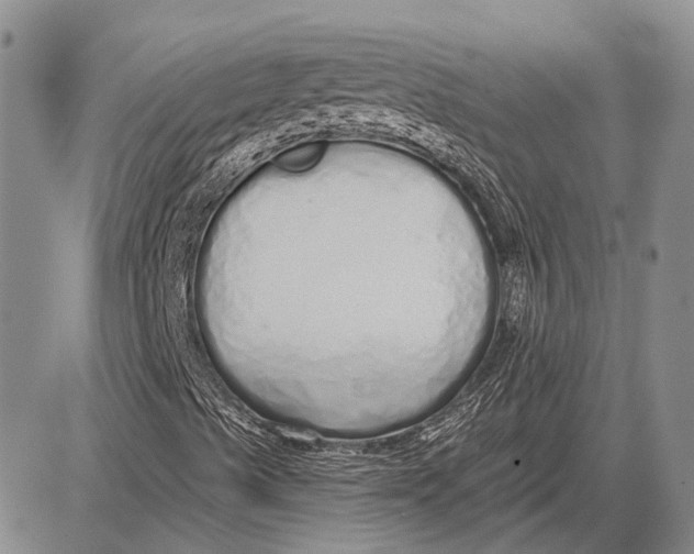 X0000081601489200702051316