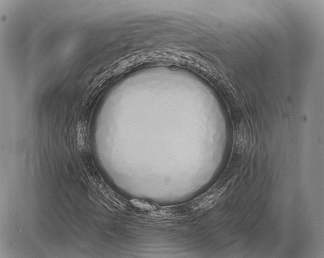 X0000081601490200702051316