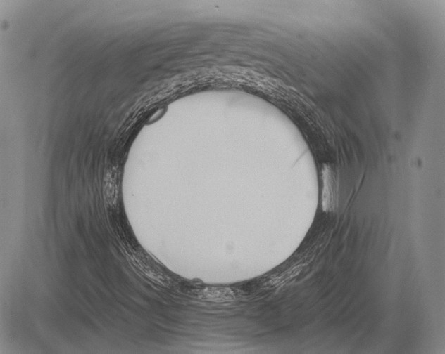 X0000081601491200702051316