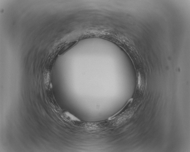 X0000081601492200702051316