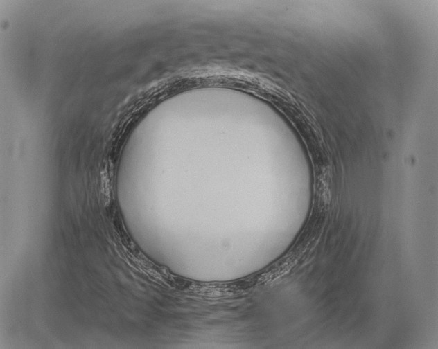 X0000081601493200702051316