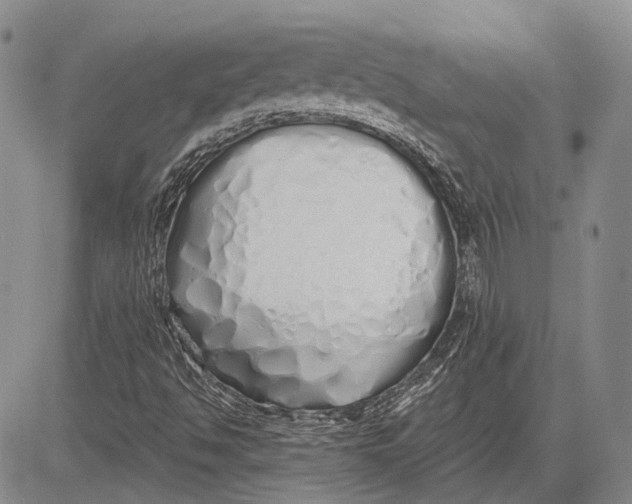 X0000081601494200702051316