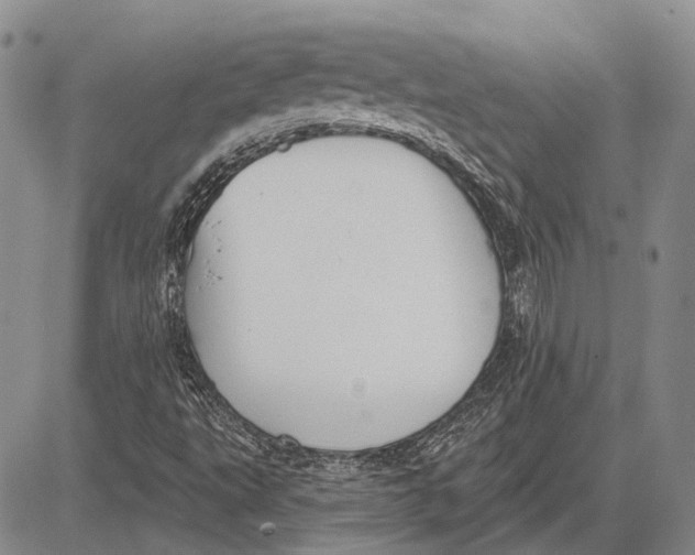 X0000081601495200702051316