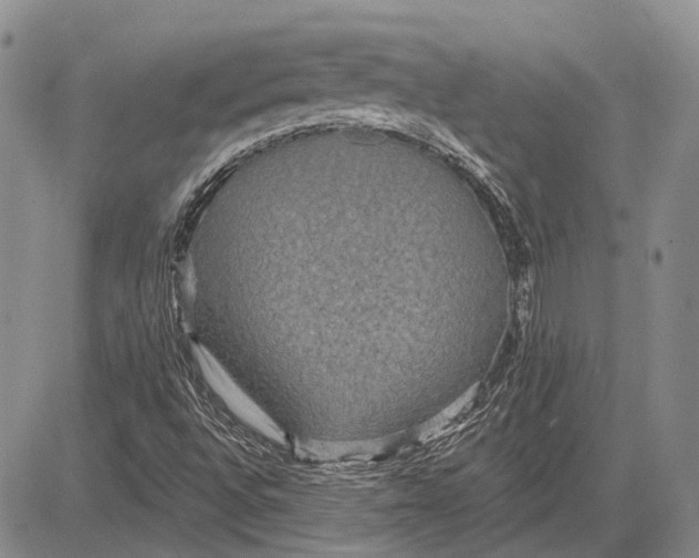 X0000081601496200702051316