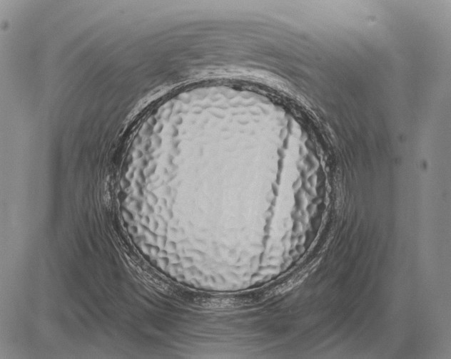 X0000081601497200702051316