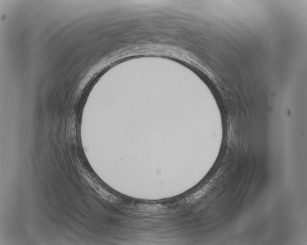 X0000081601498200702051316