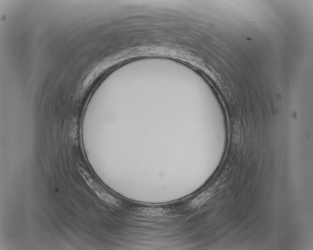 X0000081601499200702051316