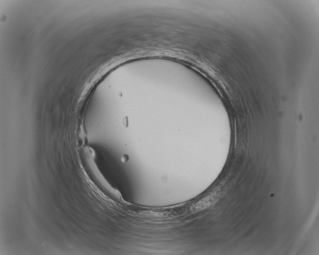 X0000081601500200702051316