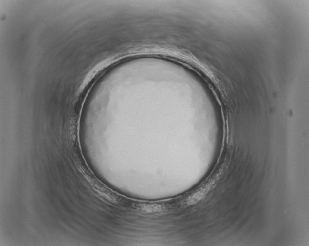 X0000081601501200702051316