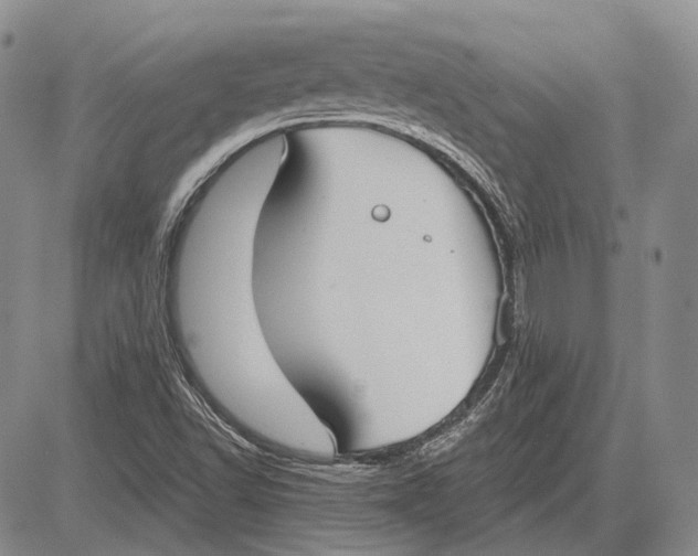 X0000081601502200702051316