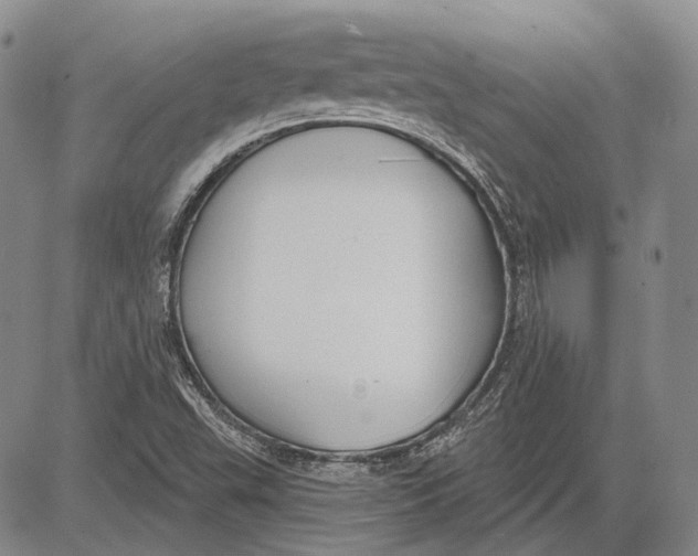 X0000081601503200702051316